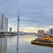 印象に残る東京手土産。おしゃれな美味しいスイーツで取引先の心を掴もう