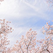 高校の卒業祝いに贈るプレゼント特集。今ドキ女子・男子の心を掴むアイテムとは?