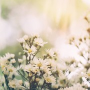 3月21日は春分の日。彼との記念日は、美しい自然と触れあう癒しデートへGO
