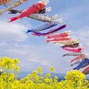 こどもの日はパーティーしよう!こどももママも大満足な5月5日を過ごすには