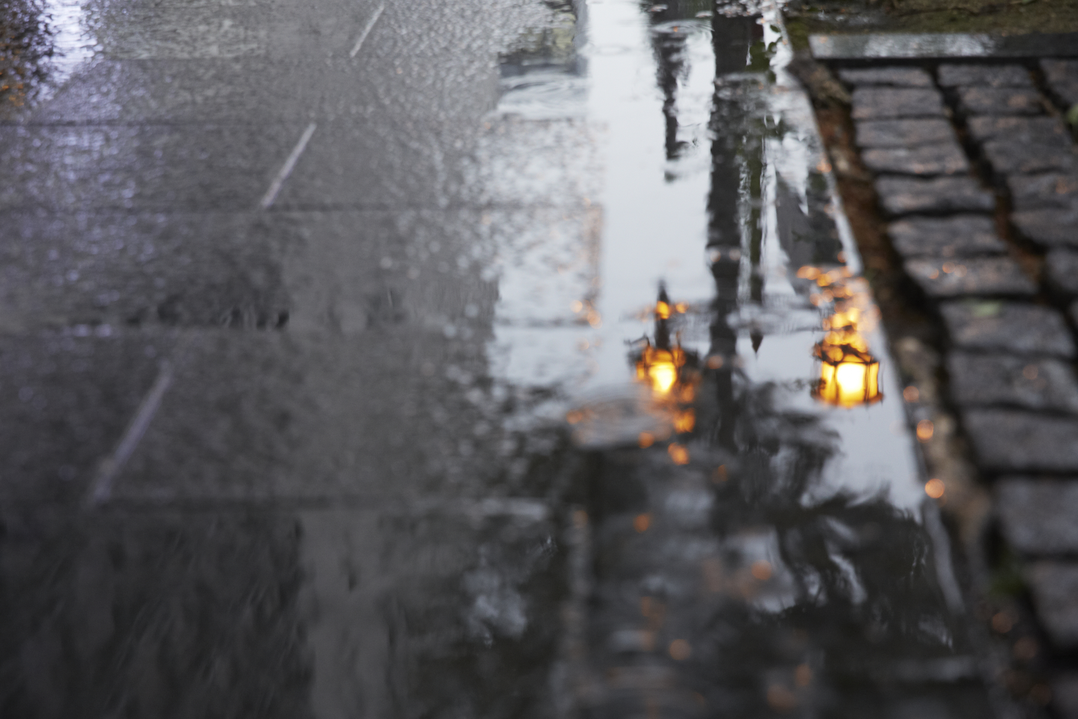 雨