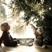 5歳の男の子へ贈るクリスマスプレゼント。思わず夢中にさせちゃうアイテム5選
