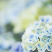 梅雨を楽しむプレゼント!曇った心に雨上がりの虹がかかるギフトまとめ