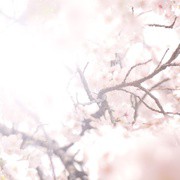 合格祝いのプレゼント特集。彼氏や友達、頑張った人へ労いを届けるとっておきギフト