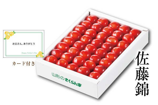 父の日さくらんぼ佐藤錦 化粧箱約300g L~2Lサイズ(71-M)