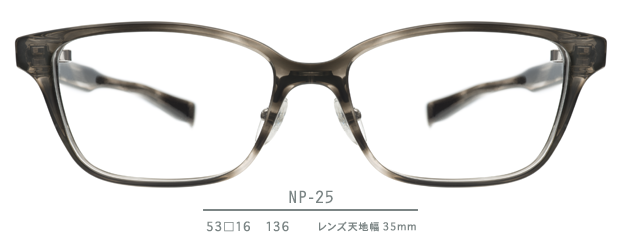 NP-25 series