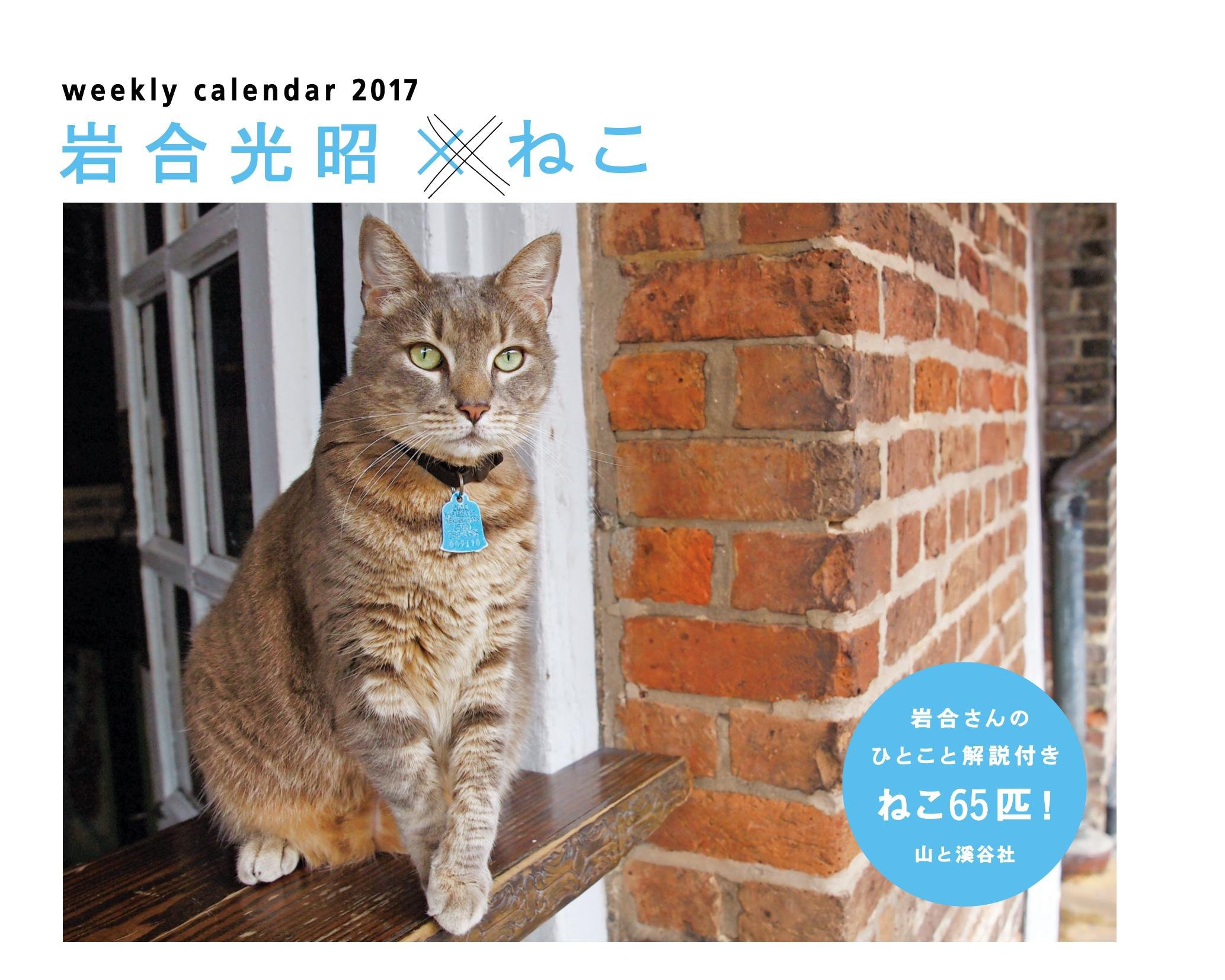 カレンダー2017 岩合光昭×ねこ 週めくり卓上